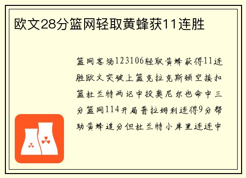 欧文28分篮网轻取黄蜂获11连胜