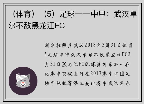 （体育）（5）足球——中甲：武汉卓尔不敌黑龙江FC